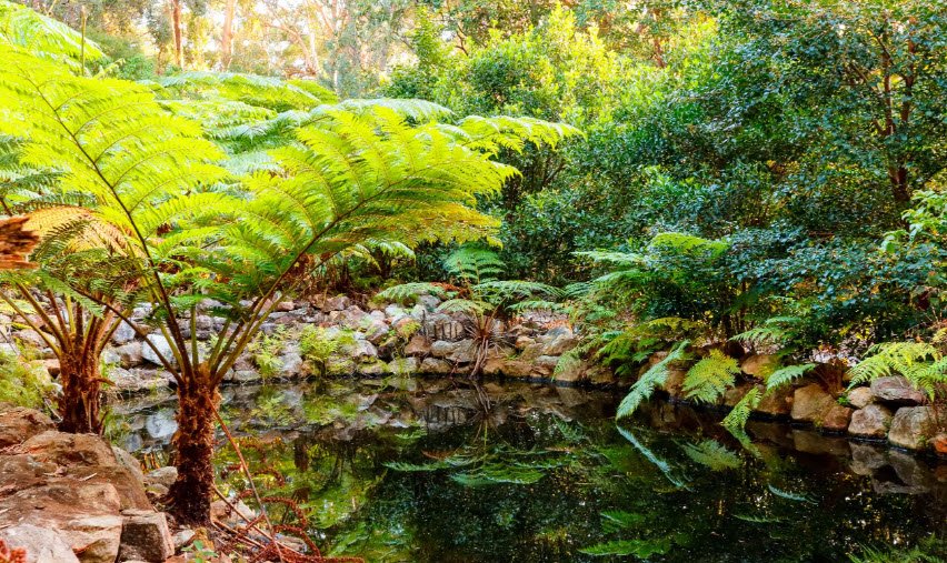 Booderee National Park and Botanic Gardens , Australia